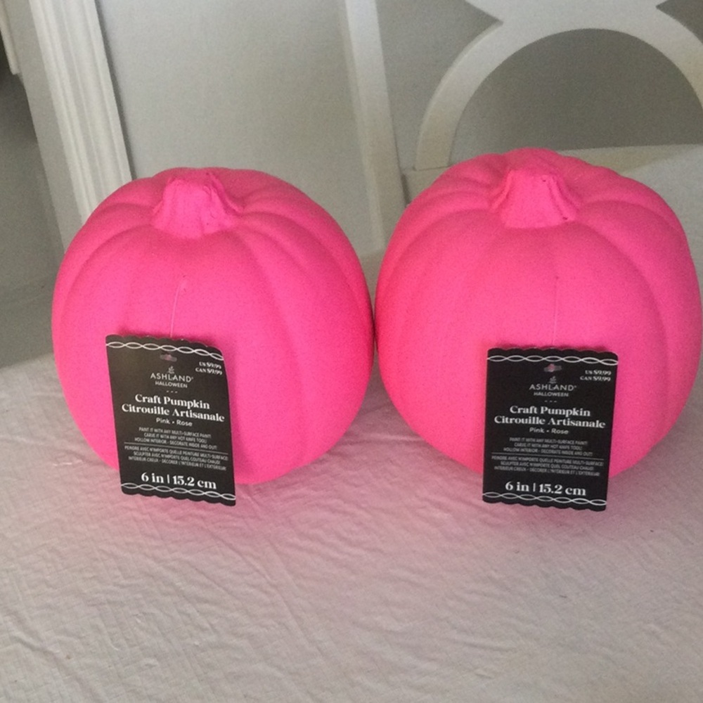Ashland Pink Craft Pumpkins - Set of 2